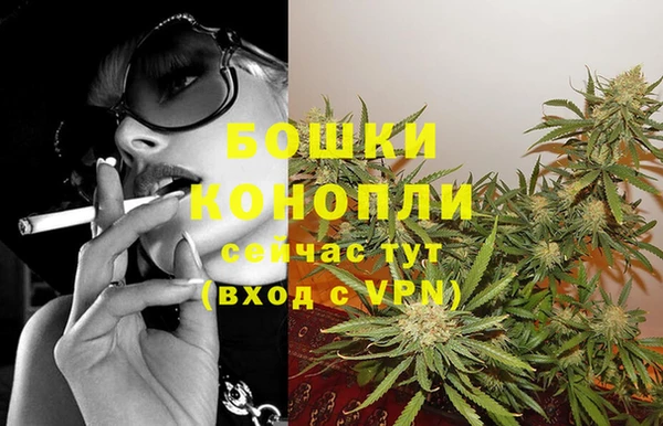 бошки Билибино