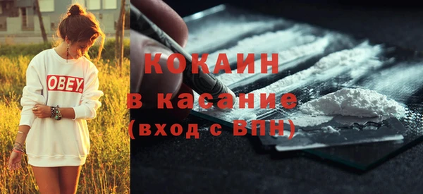соль ск Алзамай